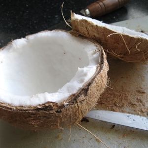 ขายส่งเกรดดี / เกรดกลาง / เกรดเกล็ด / ไขมันสูง / ผงมะพร้าวอบแห้งไขมันต่ํา - ANNA DO WA.: 0084982153058 - Product Image 2