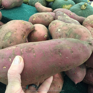 Phân Bón Hòa Tan Trong Nước Tốt Nhất Phân Bón Axit Sinh Học Fulvic Apple Corn Yam Khoai Tây Hành Chuối Lúa Mì - Product Image 4