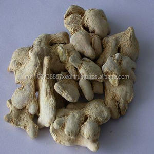 <b>Fresh</b> <b>Ginger</b> Wholesale High Quality Ready to Ship Standard Export Harvest From Farm in Vietnam - Product Image 4