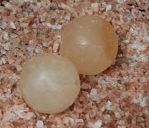 Boules de Massage au sel de l'Himalaya Matériau organique Fait à la main Blanchiment de la peau du corps Meilleures formes Emballage personnalisé Artisanat naturel Sian - Product Image 2