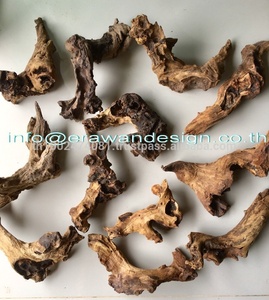 Bois flotté thaïlandais, bois flotté pour petit aquarium, accessoires d'aquarium naturel pour aquarium - Product Image 2