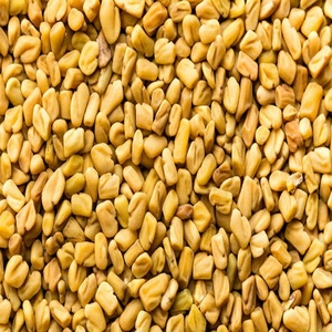 Beste Kwaliteit Gedroogde Fenegriek Zaden In 5Kg 10Kg 15Kg Plastic Papieren Zakken Gebakken Verwerking Voor Europa Singapore China Bulk Kopers - Product Image 2