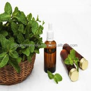 Huile de menthe poivrée en vrac pour le massage du cuir chevelu Huile essentielle de qualité supérieure - Product Image 2