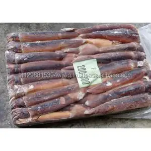 ปลาหมึกแช่แข็ง ตากแห้ง แบบทั้งตัว - Product Image 1