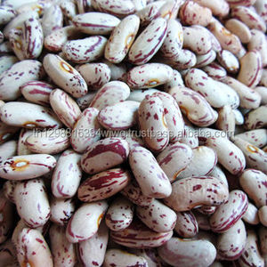 Haricots Pinto pikachées, haricots lancers de rein légères - Product Image 3