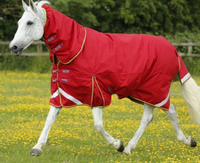 Couverture d'hiver imperméable pour cheval 600 Deniers, 300 GSM, rembourrée, doublure en nylon Ripstop, 2 sangles de fixation |   Durable et respirant