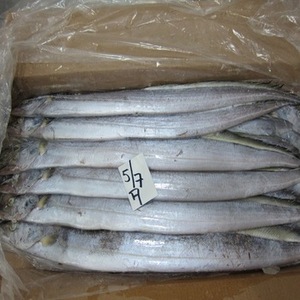 Pescado Tilapia del Nilo Entero Orgánico, Congelado Fresco (BQF), Grado A, Bajo en Grasa, 10 kg, Conservación en Agua - Product Image 2