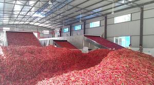 Chile Rojo Encurtido en Frasco de Vidrio - Product Image 2