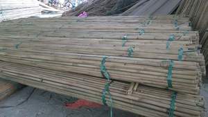 Pôle de bambou naturels faits à la main, accessoire de forêt, provenant de thaïlande - Product Image 5