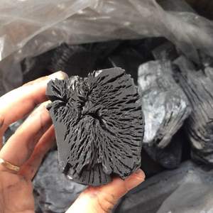 Carbón Blanco de Alta Calidad para Barbacoa sin Humo, Tipo Lychee Binchotan, Hecho de Madera Dura, Tiempo de Combustión de 5-6 Horas, 88-92% de Carbono Fijo - Product Image 4