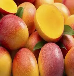 Premium Fresh Mango grade A