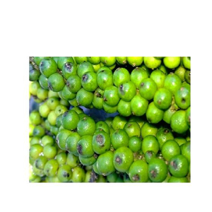 Pimienta verde de belleza fresca, el precio más caliente para los compradores - Product Image 1