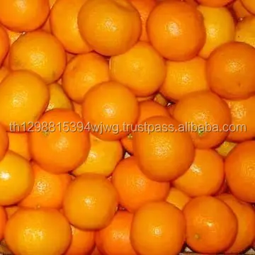 Oranges fraîches et bouclées, origine américaine, provenant du japon et de l'espagne