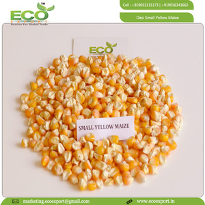 Exportador de Maíz Amarillo Seco para Consumo Humano y Animal, Alimento para Animales con Alto Contenido de Proteínas, Envasado en Bolsas - Product Image 5