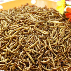 Bolsa de gusano amarillo, 100g, 200g - Product Image 3
