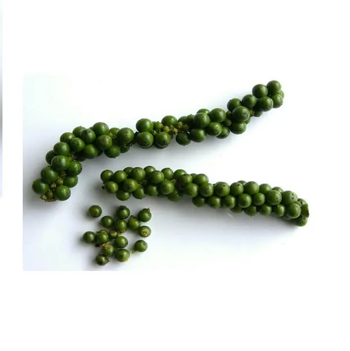 100% Natural Green Pepper with bestsale 2023