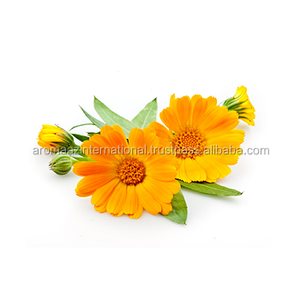 Aceite de semilla de caléndula de alta calidad en forma líquida Proveedor a granel a precio mayorista para uso industrial en perfumería cosmética - Product Image 2