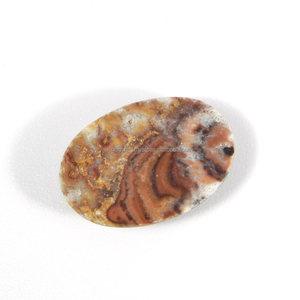 พลอยแจสเปอร์ตาเหยี่ยวธรรมชาติทรงรีขนาด 19x14 มม. น้ำหนัก 8.95 กะรัต สำหรับทำเครื่องประดับ - Product Image 3