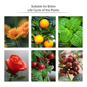 SANSI Tự Nhiên Phát Triển Chiếu Sáng Quang Phổ Đầy Đủ 30W Dẫn Phát Triển Bóng Đèn Cho Trong Nhà Chủ Nhà Máy Phát Triển Đèn - Product Image 6