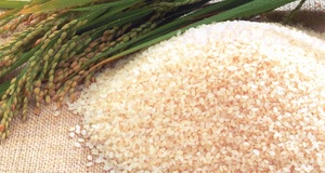 ARROZ PEGADO OGRANICO EN VIIET NAM PARA IMPORTADORES 2020 - Product Image 5