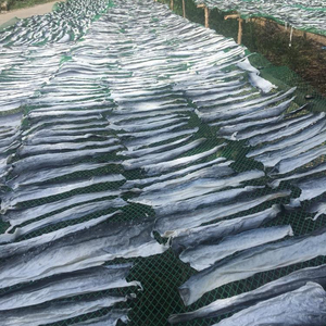 ปลาสวาย/หนังปลาแห้ง/หนังปลาสวาย - Product Image 2