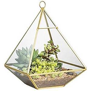 SHome Décoration Terrarium Suspendu Décoratif Verre Et Métal Fabriqué À La Main Designer Terrarium Triangle Forme Décor Fournitures - Product Image 1