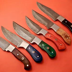 Bushcraft ZR120 Damasco caza Skinner cuchillo con mango de hueso EDC cuchillo de bolsillo para utilidad supervivencia con Funda de cuero - Product Image 1