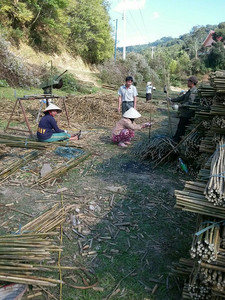 ไม้ไผ่คุณภาพสูงสำหรับผู้ขายส่งเวียดนาม - Product Image 4