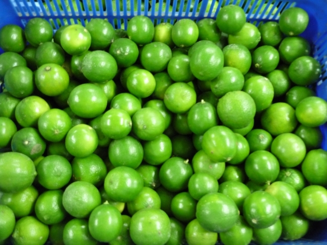 84 Viet Limon De Puerto Rico - Seedless Lemons from Vietnam