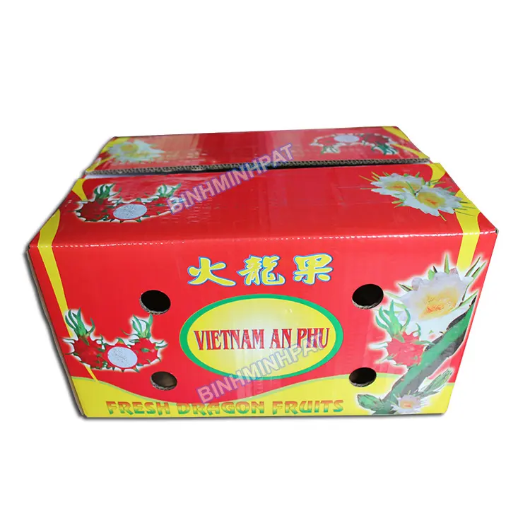 Carton Boxes for Fruits Dragon Packaging Box Paperboard BMP-BOX BOX-309 Accept Customer's Logo Food Recycled Materials