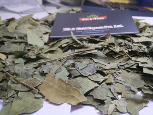 Polvo de Neem Azardirachta Indica de la mejor calidad, propiedad antiinflamatoria para reducir el acné, embalaje de envases de plástico - Product Image 2