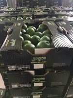 Citron vert/citron vert sans pépins Produit du Vietnam