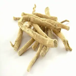 Withania Somnifera Root Suppliers