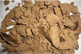 เค้กมะพร้าวเนื้อมะพร้าว - Product Image 3