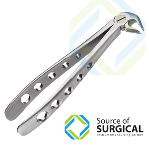 Pinzas de Extracción Dental, Modelo Inglés, Quirúrgicas, para Cirugía Oral, Pinzas de Extracción para Adultos, Plateadas, Manuales, con Certificación CE - Product Image 2