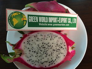 Biologico rosa Pitaya/drago cubetti di frutta dolce assaggiato IQF frutta congelata a fette modello in imballaggio sfuso