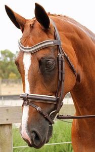Bridon en cuir de cheval de qualité supérieure, hautement fiable, pour la course d'endurance - Tailles Full/Cob - Product Image 6