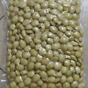 INCA-semillas secas de INCHI de VIETNAM, frutos secos de Perú, INCA, cacahuete sin asar, alta calidad, precio barato-84 905010988 - Product Image 2