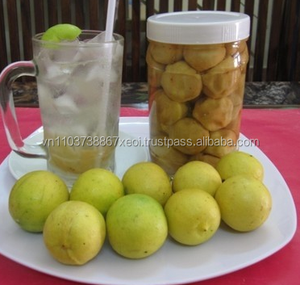 Viet Delta Quick Lime Desiccant Vietnam Origine 10-60mm Taille Modèle de vacances - Product Image 2