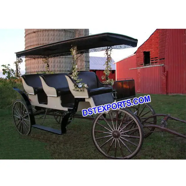 Pony Driven Tourist Horse Carriage Beautiful Limousine Horse Carriage Buggy Indian Wedding Horses Carriages