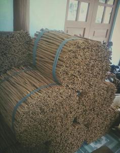 El precio más barato y canela orgánica seca de alta calidad CULTIVO MÁS RECIENTE en Vietnam Ms Holiday - Product Image 6
