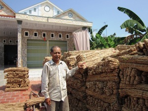 ผักตบชวาแห้ง (Eichhornia crassipes) - Product Image 2