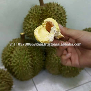 CARNE IQF DURIAN En 2024 - Product Image 2