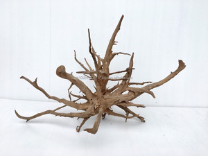 ซากไม้ขายส่ง - Product Image 4
