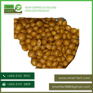 ปุ๋ยปลดปล่อยสารอาหารคุณภาพสูงสำหรับปาล์มน้ำมัน ผลิตโดยตรงจากโรงงาน - Product Image 2