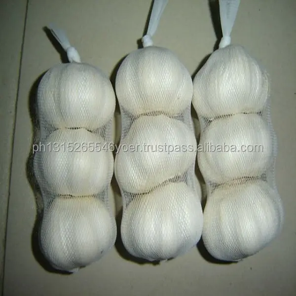 2011 Fresh Pure White Garlic、Normal White Garlic