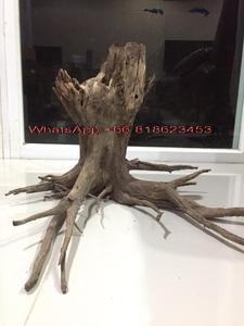 Pot et jardinière en forme de souche d'arbre - Product Image 6