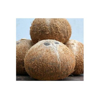 Coco semi descascarillado al mejor precio del 2024 - Product Image 1