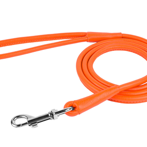 Correa de Cuero Enrollada de Alta Calidad para Perro, Color Verde Menta - Product Image 1