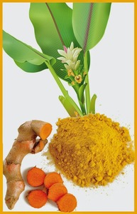 Polvo de extracto de cúrcuma natural puro hecho en Vietnam - Product Image 4
